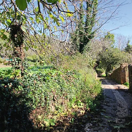 La Casita Del Bosque De Letras By Sierra Viva Сasa de vacaciones La Presa (Huelva)