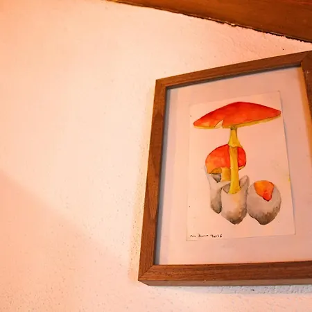 La Casita Del Bosque De Letras By Sierra Viva La Presa (Huelva)